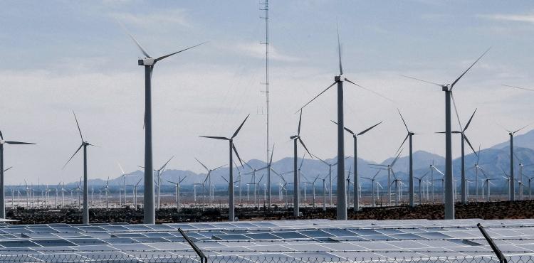 Energie rinnovabili per imprese agricole: via libera dell’Ue alla garanzia Ismea “GR8” per investimenti


      
        Browse
      
    
    

            
  
    

      

  


          
   – www.sardegnaimpresa.eu