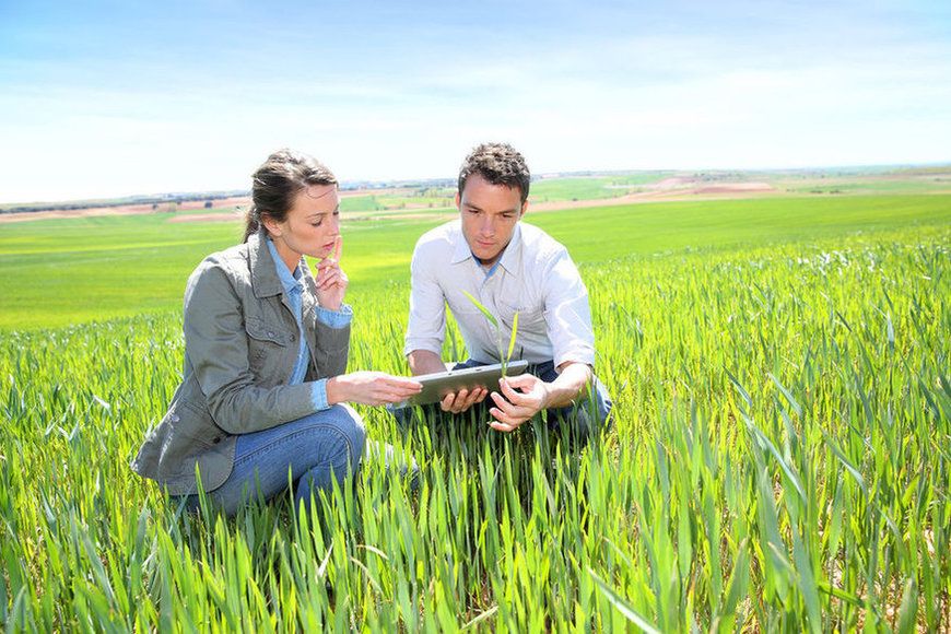 PSR 2014/2022 – TIP. OPER. 1.1.1 – Proroga Termine Presentazione Domande – www.lazioeuropa.it