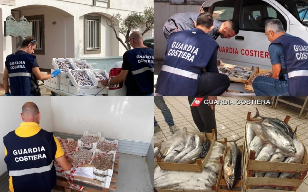 Operazione cibo sicuro: controlli della Guardia Costiera su prodotti ittici, ristorazione e tracciabilità – www.mit.gov.it