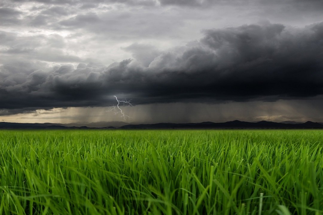 maltempo-in-campagna.jpg