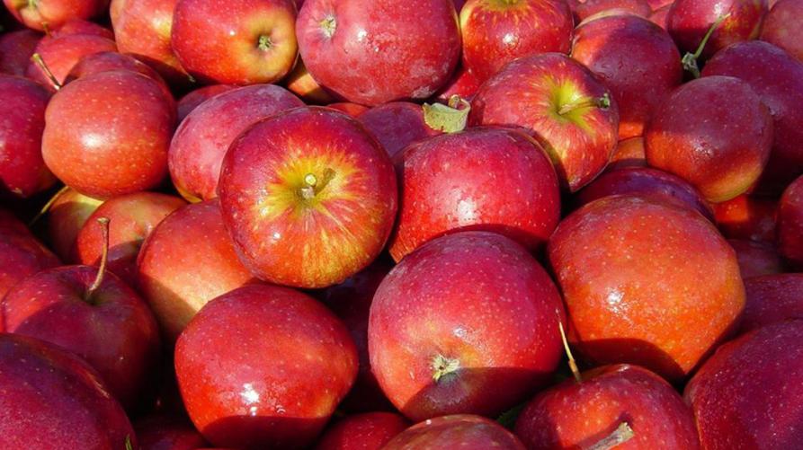 Nasce il Distretto del cibo della Frutta
 – www.regione.piemonte.it