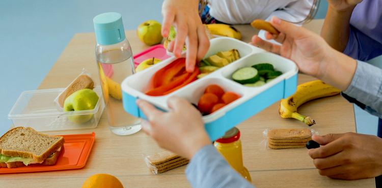 Fondo da 800 mila euro per sostenere il commercio “equo e solidale”


      
        Browse
      
    
    

            
  
    

      

  


          
   – www.sardegnaimpresa.eu