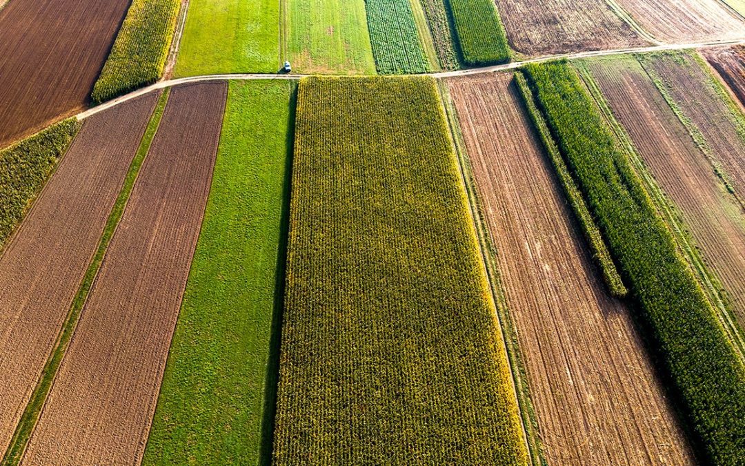 ISMEA – Prestiti MIA: dal 27 luglio in corso le erogazioni. Il ministro Lollobrigida: acceleriamo ricostruzione e sosteniamo le nostre produzioni – www.politicheagricole.it