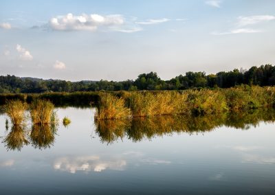 European summit, la Lombardia ad ottobre ospita vertice su biodiversità – www.lombardianotizie.online