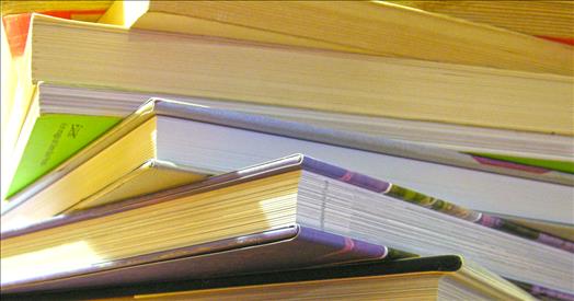 Contributi per master universitari e corsi di perfezionamento post-laurea, pubblicato l’Avviso – www.regione.marche.it