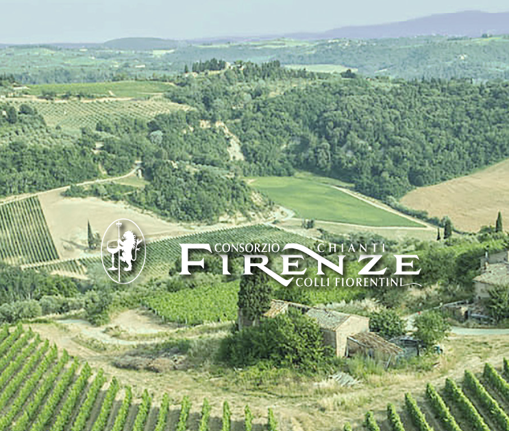 Chianti Fiorentino, agriturismi estate top, Saccardi: “Qualità e multifunzionalità” 
						 – www.toscana-notizie.it