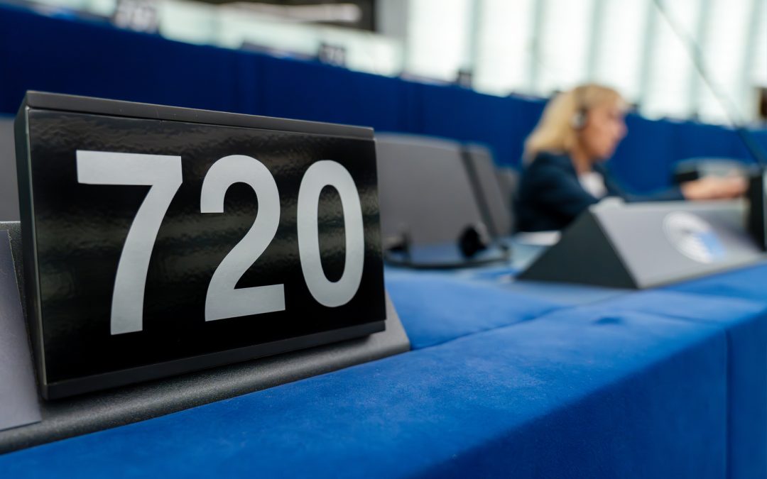 Elezioni europee 2024: 15 seggi in più suddivisi tra 12 paesi | Attualità – www.europarl.europa.eu