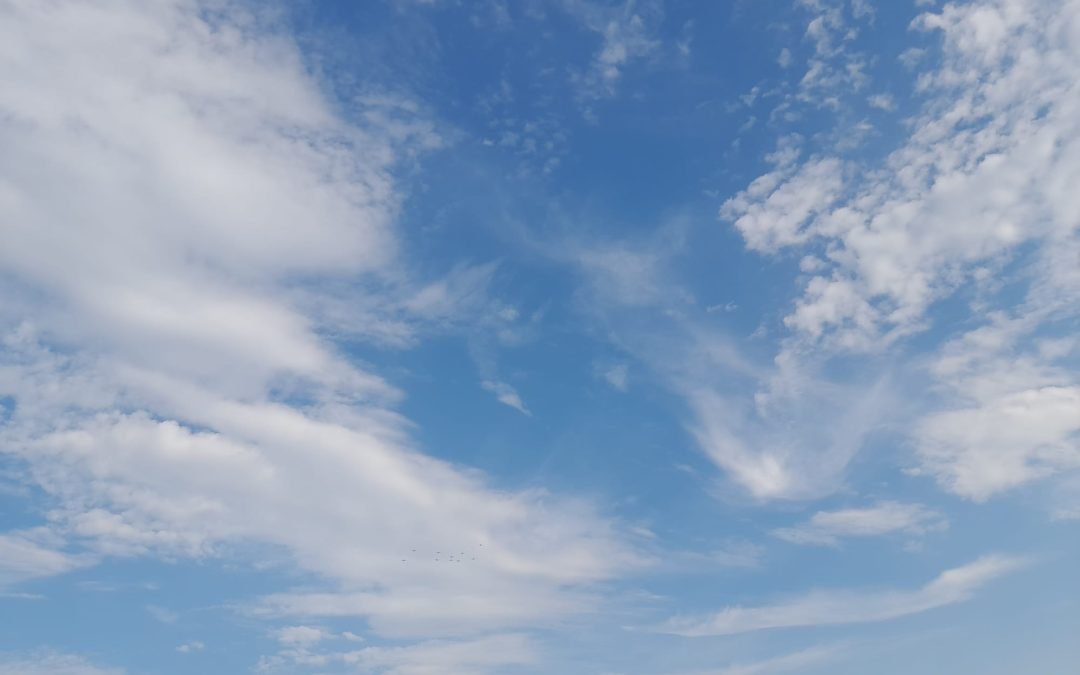 Qualità dell’aria, 10 milioni di euro per Firenze. Ok dalla Giunta 
						 – www.toscana-notizie.it