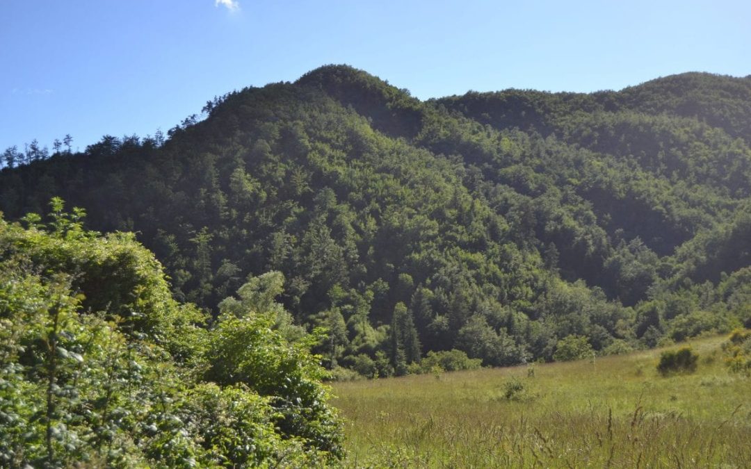 Rischio incendi, da oggi di nuovo possibili gli abbruciamenti, restano le prescrizioni 
						 – www.toscana-notizie.it