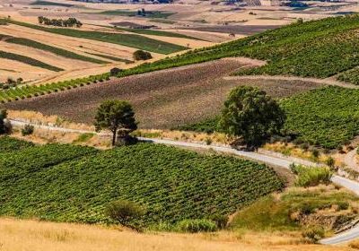 Agricoltura, impegni inerenti alle regole di condizionalità – www.lazioeuropa.it