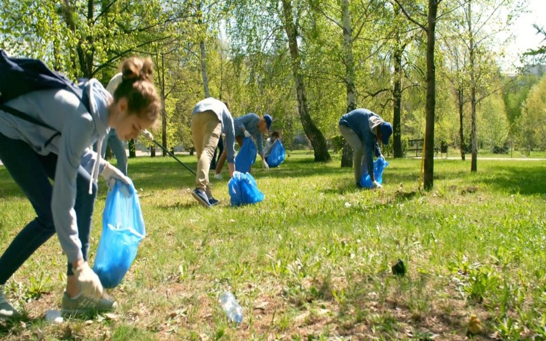 Premi Giornata verde pulito 2023, Maione: bene coinvolgimento dei giovani – www.lombardianotizie.online