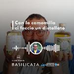 BASILICATA IN PODCAST, MARCHETTA:CON LA CAMOMILLA CI FACCIO UN GIN
		 – www.regione.basilicata.it
