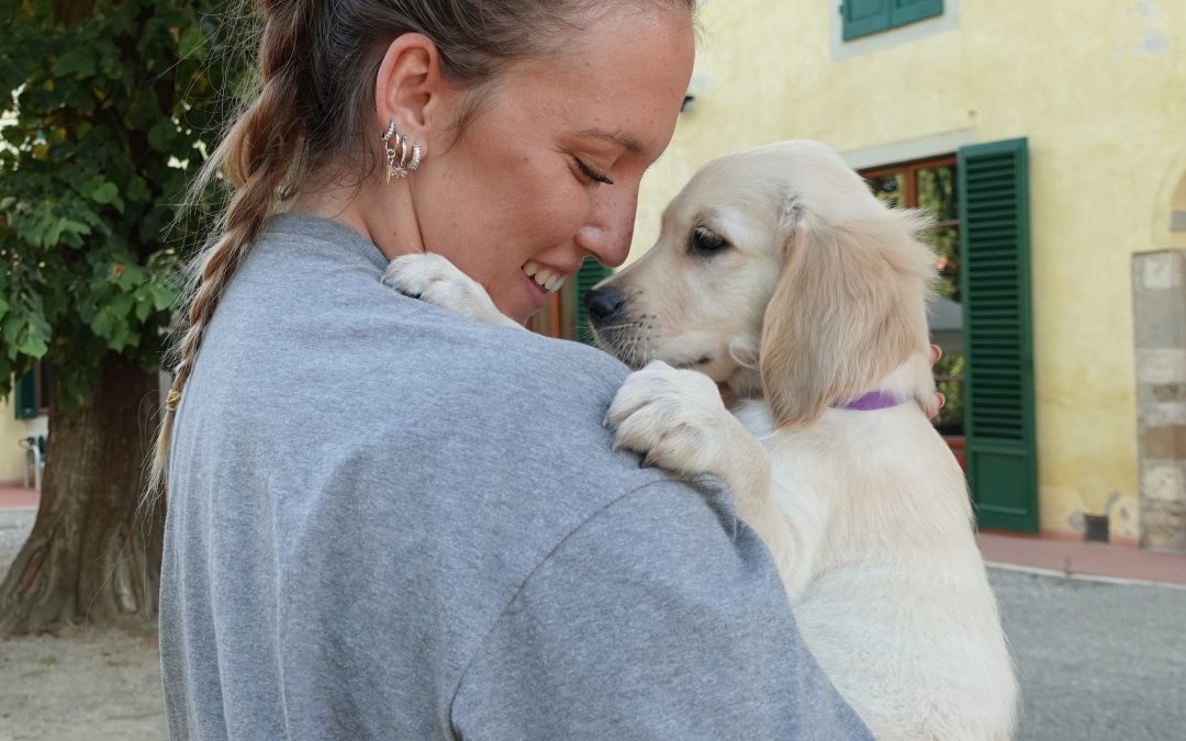 Si cercano famiglie affidatarie per futuri seguci da allerta medica e cani guida 
						 – www.toscana-notizie.it
