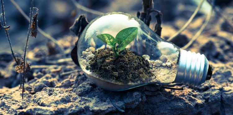 Transizione verde, bando da 300 milioni di euro per gli investimenti delle imprese


      
        Browse
      
    
    

            
  
    

      

  


          
   – www.sardegnaimpresa.eu