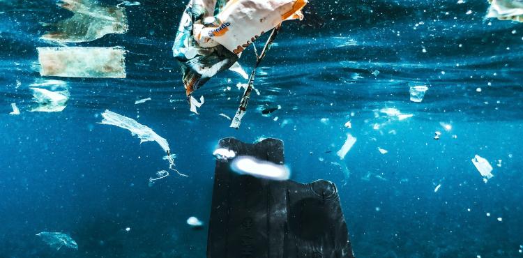 Ambiente: l’Ue mette un freno alla vendita di prodotti che contengono microplastiche


      
        Browse
      
    
    

            
  
    

      

  


          
   – www.sardegnaimpresa.eu