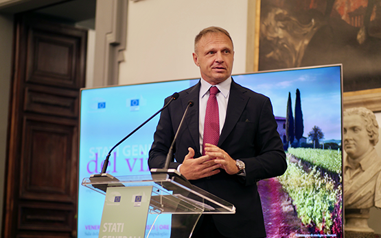 Vino. Lollobrigida, dovere Stato sostenere le aziende colpite dalla peronospora – www.politicheagricole.it