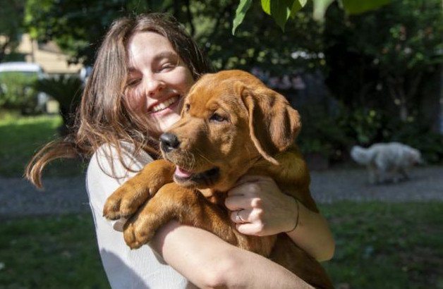Scuola cani guida della Regione, sabato 21 ottobre open day 
						 – www.toscana-notizie.it