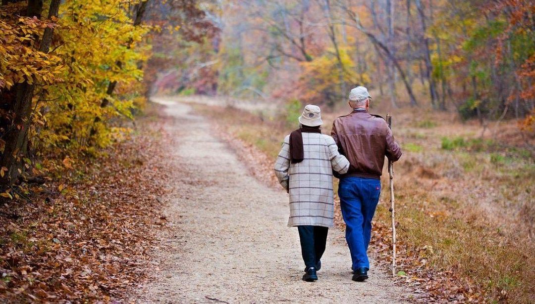 PSR FEASR 2014/2020: prorogato all’11 dicembre il termine delle domande di sostegno per la tipologia di operazione 4.4.1 – www.lazioeuropa.it