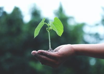 Transizione energetica e sostenibilità: il calendario delle iniziative del MASE – www.lazioeuropa.it
