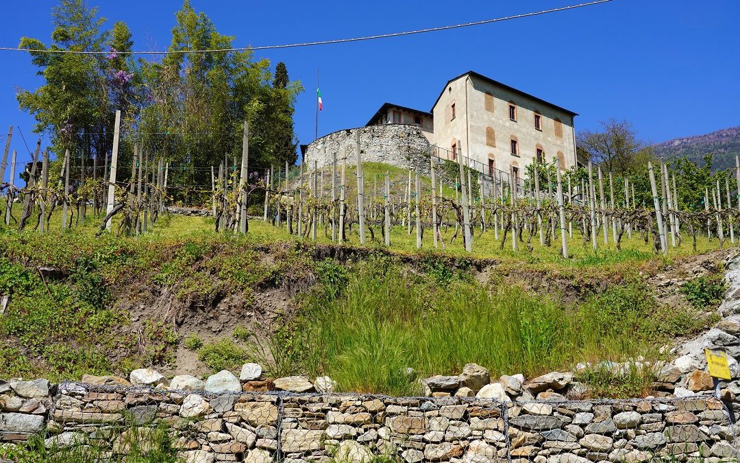17,7 milioni a 4.800 aziende agricole, fondi ad aree svantaggiate – www.lombardianotizie.online