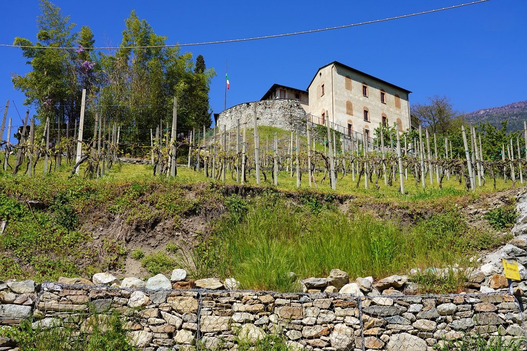 agricoltura-montagna-vigneto-Valtellina.jpg