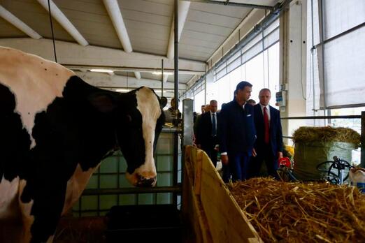 Zootecnia. Lollobrigida: completa vicinanza al settore – www.politicheagricole.it