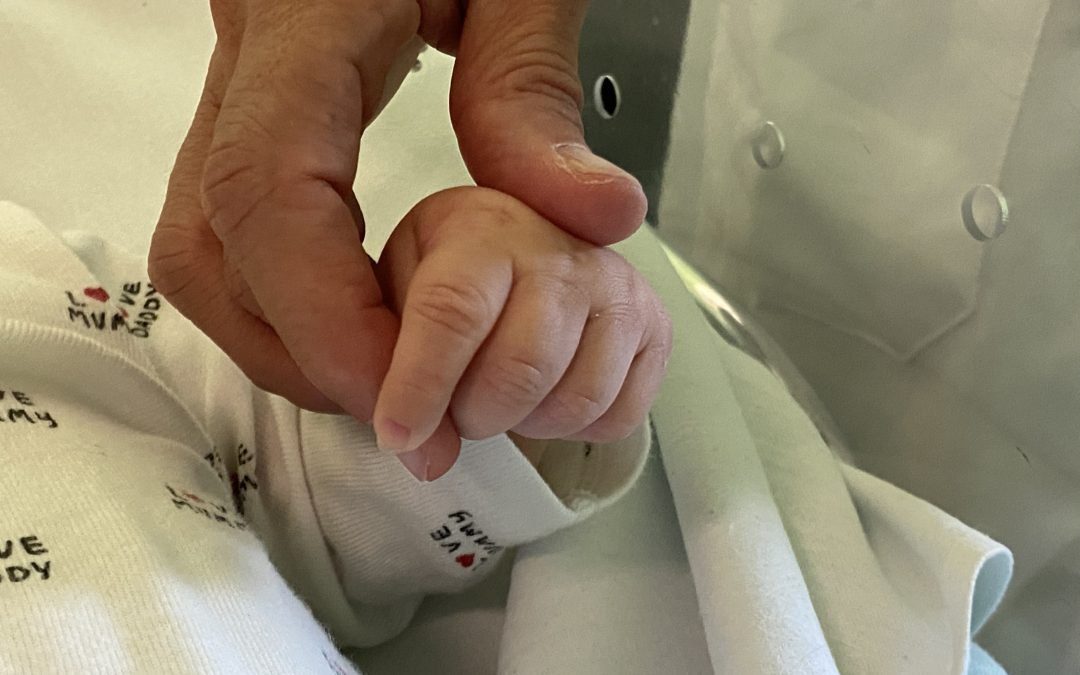 Buzzi sarà modello in Europa – www.lombardianotizie.online