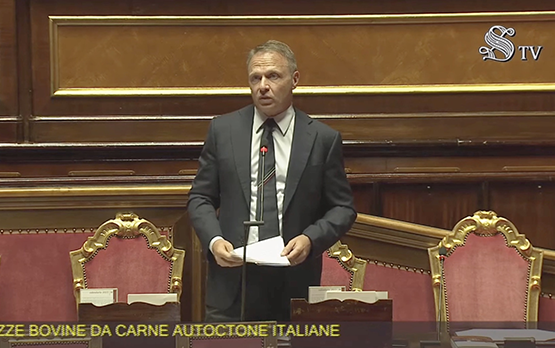 Question Time del ministro Lollobrigida al Senato – www.politicheagricole.it