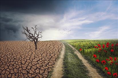 La Regione Marche ha aderito al documento dei governi locali che sarà portato alla COP 28 per i processi di adattamento ai cambi… – www.regione.marche.it