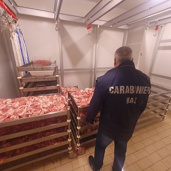 provenienza sconosciuta, sequestrate 2 tonnellate di carne e salumi – www.salute.gov.it