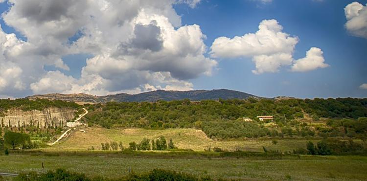 GAL Sarcidano-Barbagia di Seulo, focus group con le imprese


      
        Browse
      
    
    

            
  
    

      

  


          
   – www.sardegnaimpresa.eu