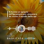 BASILICATA IN PODCAST, A TEANA UN âAPIARIO DEL BENESSEREâ
		 – www.regione.basilicata.it