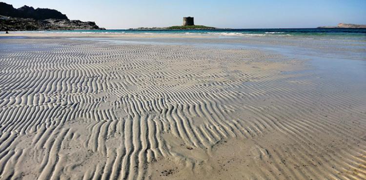 Stagione turistica 2023, bilancio positivo nel nord ovest della Sardegna


      
        Browse
      
    
    

            
  
    

      

  


          
   – www.sardegnaimpresa.eu