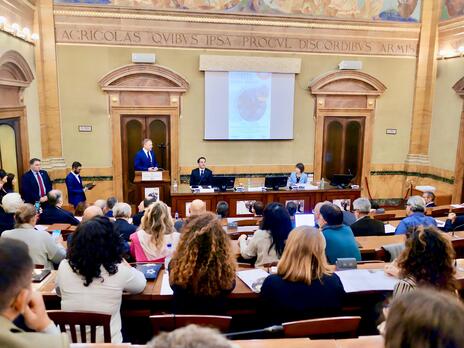 Giornata alberi. Lollobrigida: Italia avanguardia nella strategia forestale – www.politicheagricole.it