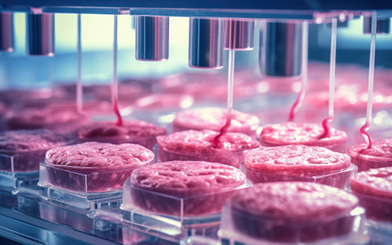 Carne sintetica. Lollobrigida, legge democratica. Europa segua esempio Italia – www.politicheagricole.it