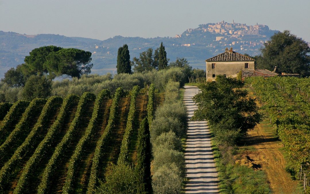 Agroambiente e agricoltura sostenibile: bandi per 18 milioni di euro 
						 – www.toscana-notizie.it