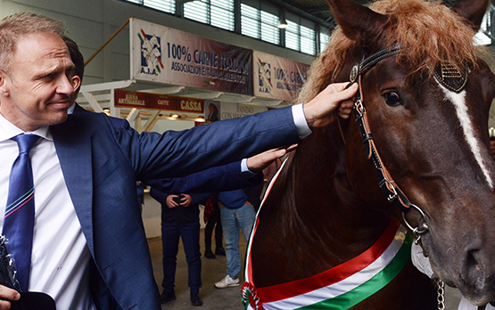 Il Masaf a Fieracavalli. Tradizione è futuro – www.politicheagricole.it