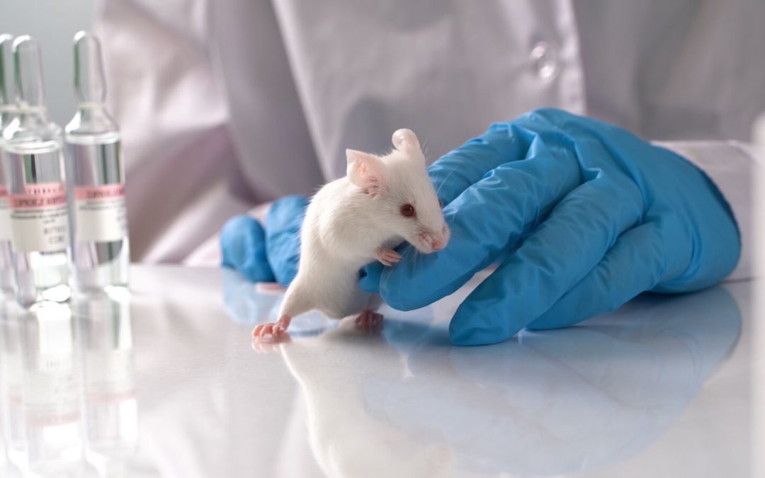 Vi presentiamo TKPlate: sicurezza degli alimenti senza fare test su animali? – www.efsa.europa.eu