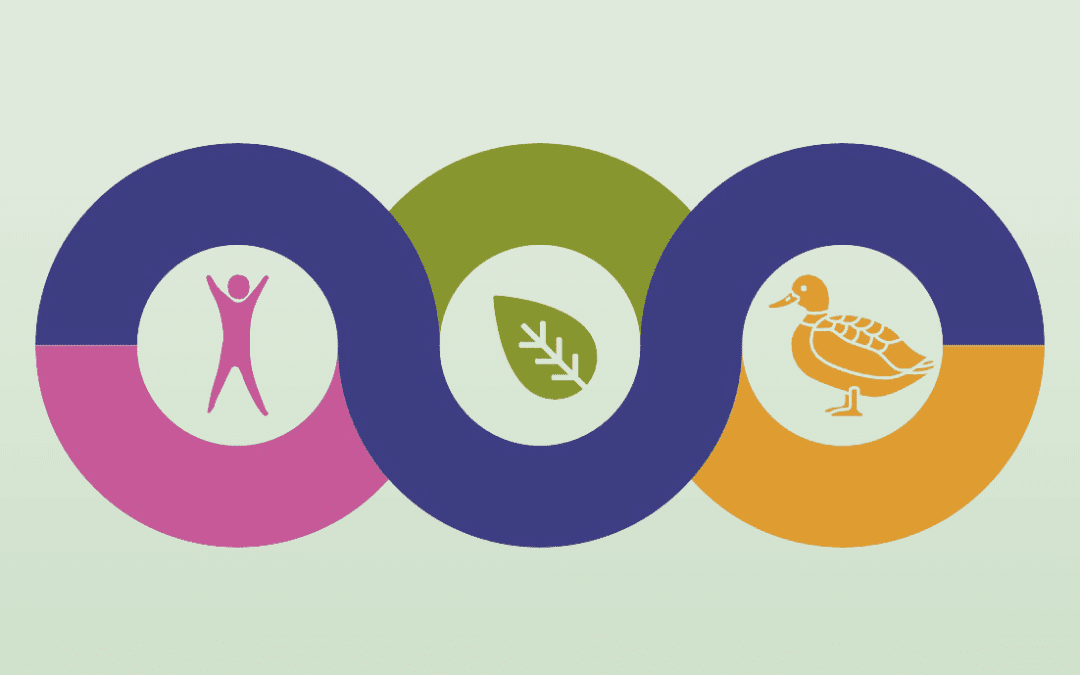 One Health: EFSA joins forces with EU agencies – www.efsa.europa.eu