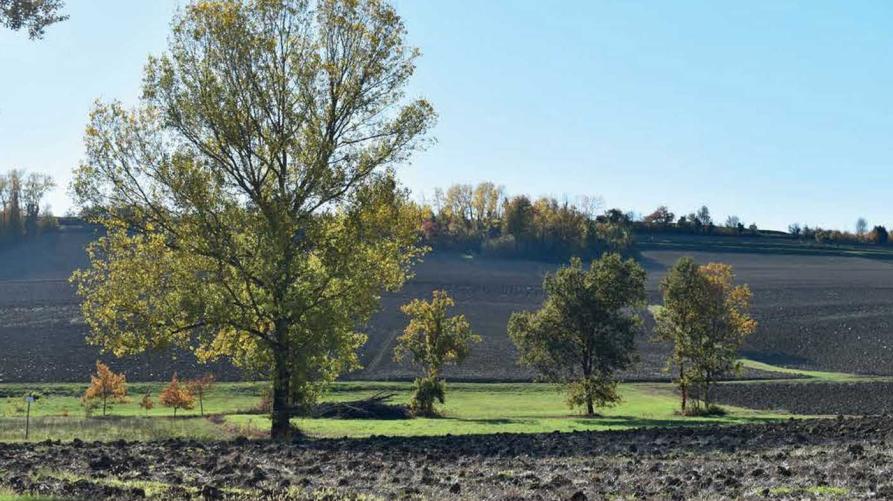 Riparte lo Sportello forestale itinerante
 – www.regione.piemonte.it