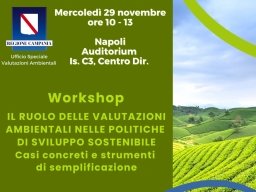 Workshop “Il ruolo delle valutazioni ambientali nelle politiche di sviluppo sostenibile” – www.regione.campania.it