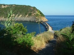 Riserva Nazionale “Isola di Vivara”: avviso pubblico per ausiliari a supporto delle Guide Autorizzat… – www.regione.campania.it