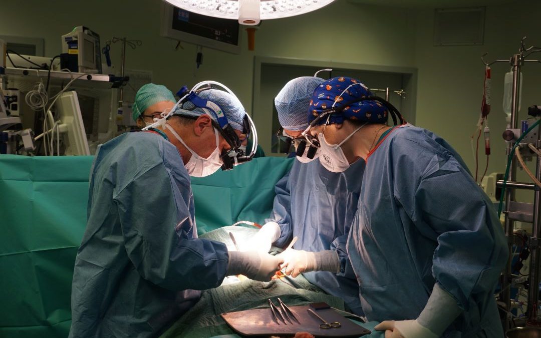 A Bergamo primo trapianto in Italia su bambino da donatore a cuore fermo – www.lombardianotizie.online