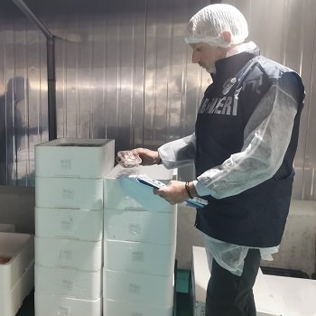 sequestrati 650 kg di pesce pregiato di provenienza sconosciuta – www.salute.gov.it