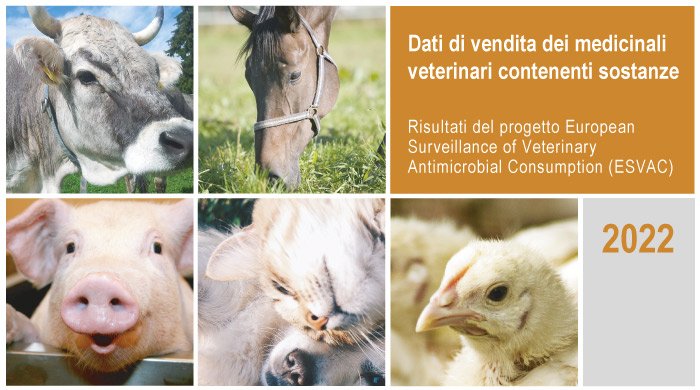 Quinta relazione sulle vendite di medicinali veterinari contenenti sostanze antibiotiche in Italia – www.salute.gov.it