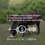 BASILICATA IN PODCAST, A STIGLIANO LA CIOCCOLATA CON LATTE DâASINA
		 – www.regione.basilicata.it