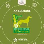 PREMIO REGIONALE OLIVARUM, AL VIA LA XX EDIZIONE DEL CONCORSO
		 – www.regione.basilicata.it