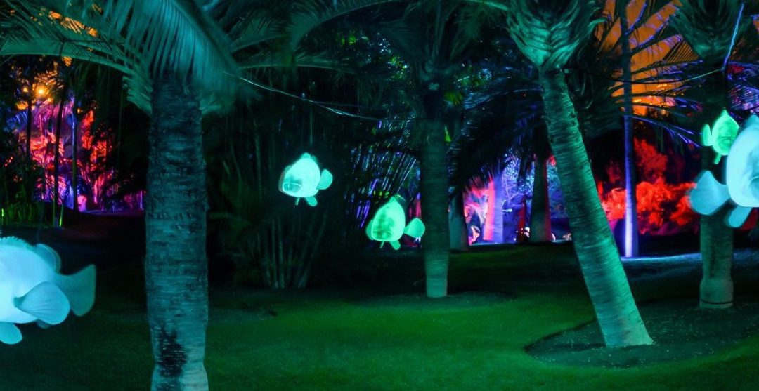 Arriva a Roma Lights in Nature – VisitLazio – www.visitlazio.com