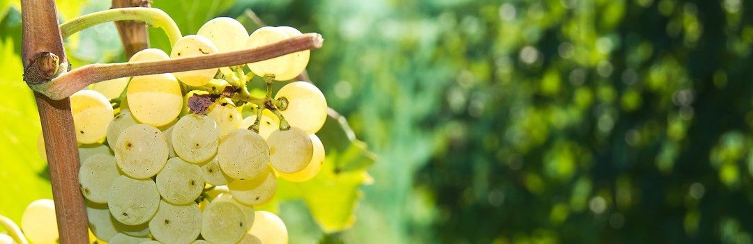 Una moneta per celebrare i tesori del Lazio – VisitLazio – www.visitlazio.com