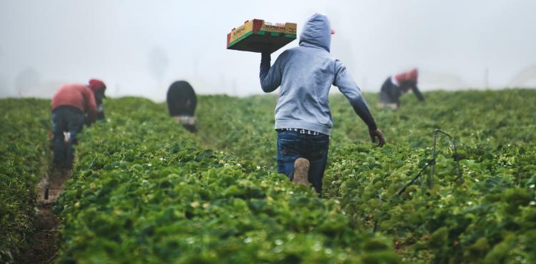 Imprese agricole: stop ai Contratti di prestazione occasionale, arriva il LOAgri


      
        Browse
      
    
    

            
  
    

      

  


          
   – www.sardegnaimpresa.eu